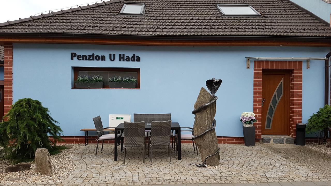 Penzion U Hada Velké Pavlovice Exterior foto